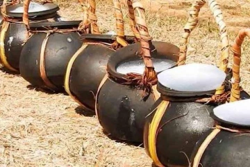 ஏற்றுமதி பொருளாக மாறவுள்ள  வடக்கின் பனங்கள்ளு!