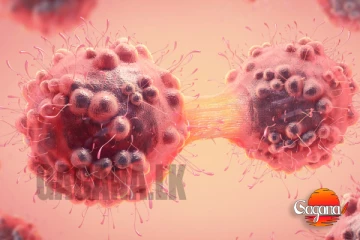 දැන්ම පරික්ෂා කරගන්න ලංකාවේ හිස ඔසවන මාරාන්තික ලෙඩක් දවසකට තුන්දෙනෙක් මියයනවා