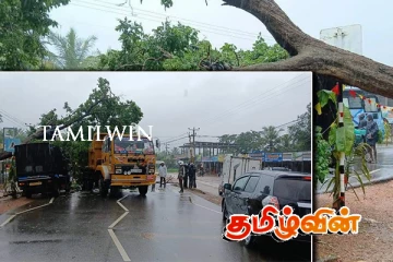 கிளிநொச்சியில் மரம் சரிந்து வீழ்ந்ததில் வாகனம் ஒன்று பகுதியளவில் சேதம்