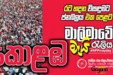 රතු පැටව් හෙට ගොල්පෙස් පිටියේදී