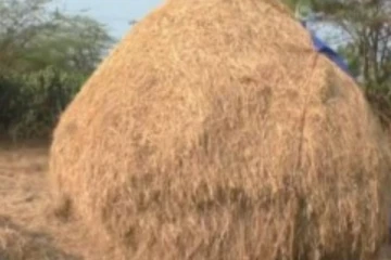 வைக்கோல்போருக்குள் ஒளித்து வைக்கப்பட்டிருந்த ரூ.1 கோடி: எம்எல்ஏ டிரைவரின் வீட்டில் சிக்கியது என்ன?