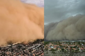 அரிசோனாவின் கட்டிடங்களை மூடிய புழுதி புயல் - 100க்கும் மேற்பட்ட விமானங்கள் தாமதம்