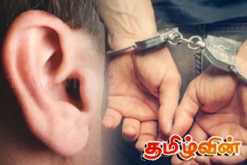 பொலிஸ் அதிகாரியின் காதை கடித்து தப்பிக்க முயன்ற திருடன்