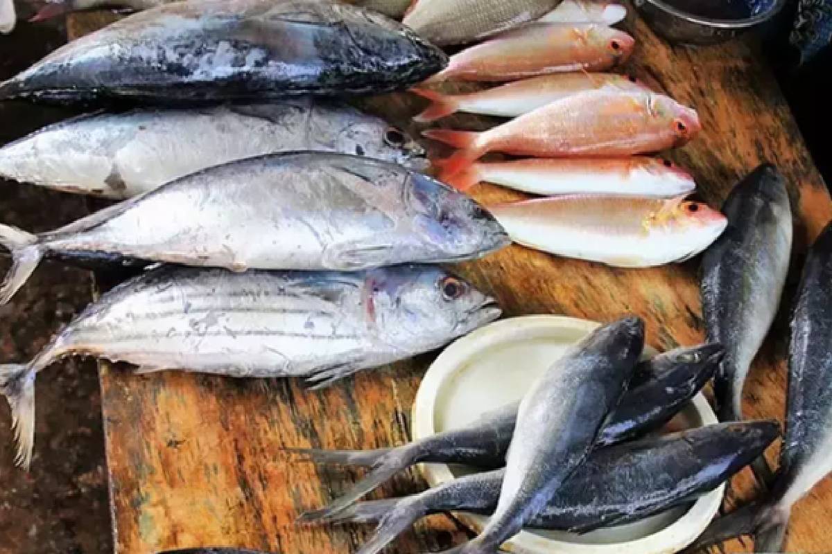 நாட்டில் மீன்களின் விலையில் திடீர் அதிகரிப்பு | Fish Prices Increase Again In The Country