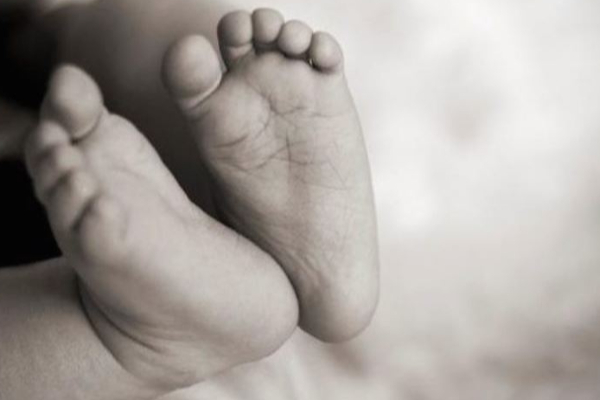 கைக்குழந்தையை தந்தையிடம் பறித்து 3வது மாடியில் இருந்து வீசிய குரங்குகள்! | Monkeys Threw A 4 Month Baby Away From 3Rd Floor