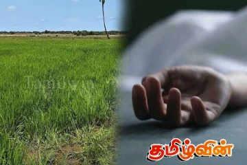 திருகோணமலையில் மின்சார வேலியில் சிக்குண்டு இருவர் பலி