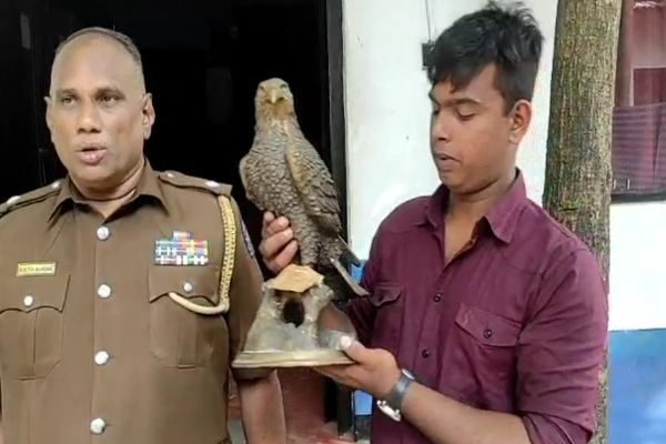 நகரசபை உறுப்பினரின் வீட்டை உடைத்து கொள்ளை! | Burglary Member Of The City Council