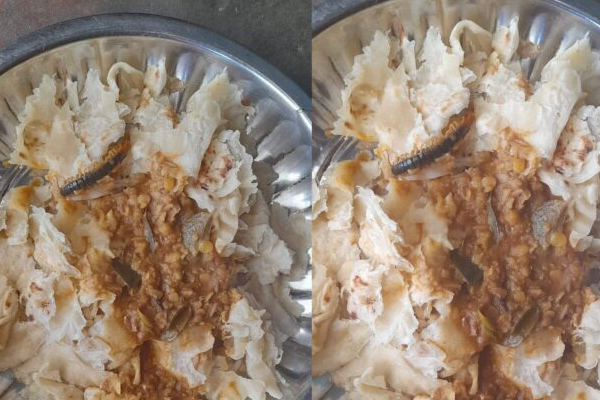 பூரானுடன் வழங்கப்பட்ட உணவு; அதிகாரிகள் அதிரடி நடவடிக்கை(Photos) | Food Served With Puran