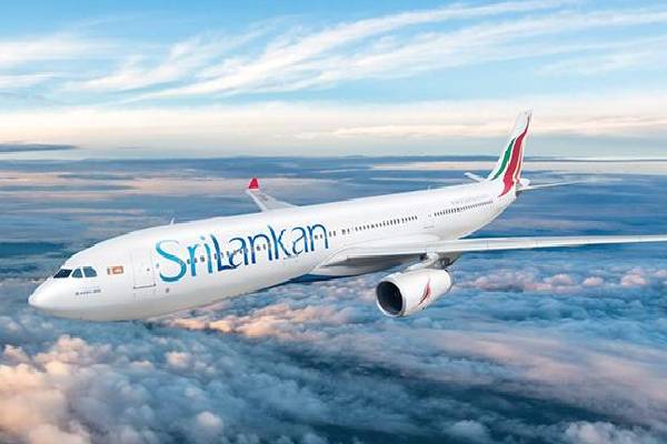 ஏர்லைன்ஸ் விமானம் மூலம் யாழ்ப்பாணத்தின் பெருமை உலகுக்கு | Srilankan Airlines Recognition Of Jaffna