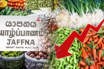 யாழில் மரக்கறி விலையில் ஏற்பட்டுள்ள மாற்றம்