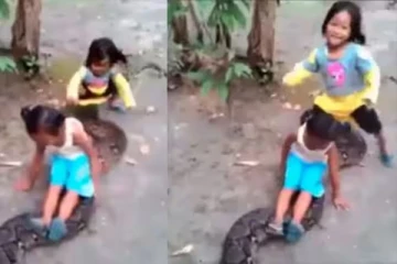 Snake Video: ராட்சத பாம்பையே பாடாய் படுத்தும் சிறுமிகள்... பதற வைக்கும் காட்சி