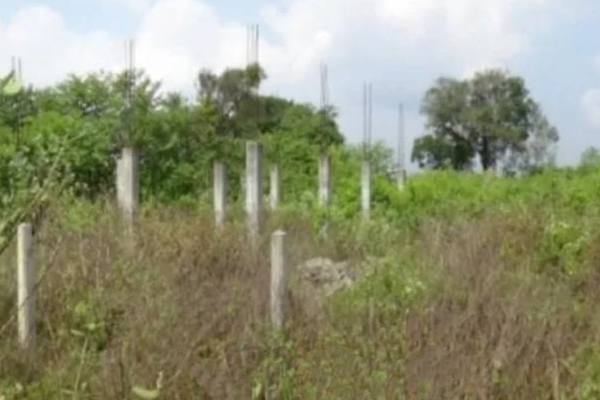 வவுனியா ஓமந்தையில் காணி அற்ற அரச ஊழியர்களுக்கான தகவல் | Land For Landless Civil Servants Vavuniya Omanthai