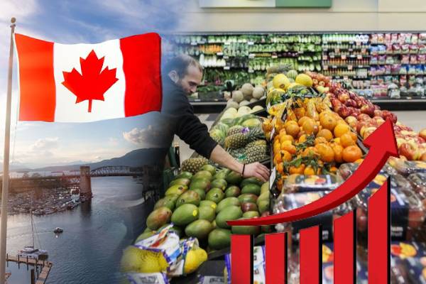 கனடாவில் உச்சம் தொடும் உணவுப் பொருட்களின் விலை | Essential Goods Prices Increase In Canada