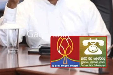 පොහොට්ටුව අතහැර රාජපක්ෂ කෙනෙක් සජබෙට පනී.