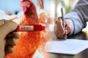 கொரோனாவை விட 100 மடங்கு ஆபத்தான பறவை காய்ச்சலுக்கு தீர்வு : கையெழுத்தான ஒப்பந்தம்