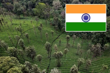 2024 உலக இயற்கை பாதுகாப்பு குறியீடு: 176 வது இடத்திற்கு தள்ளப்பட்ட இந்தியா!