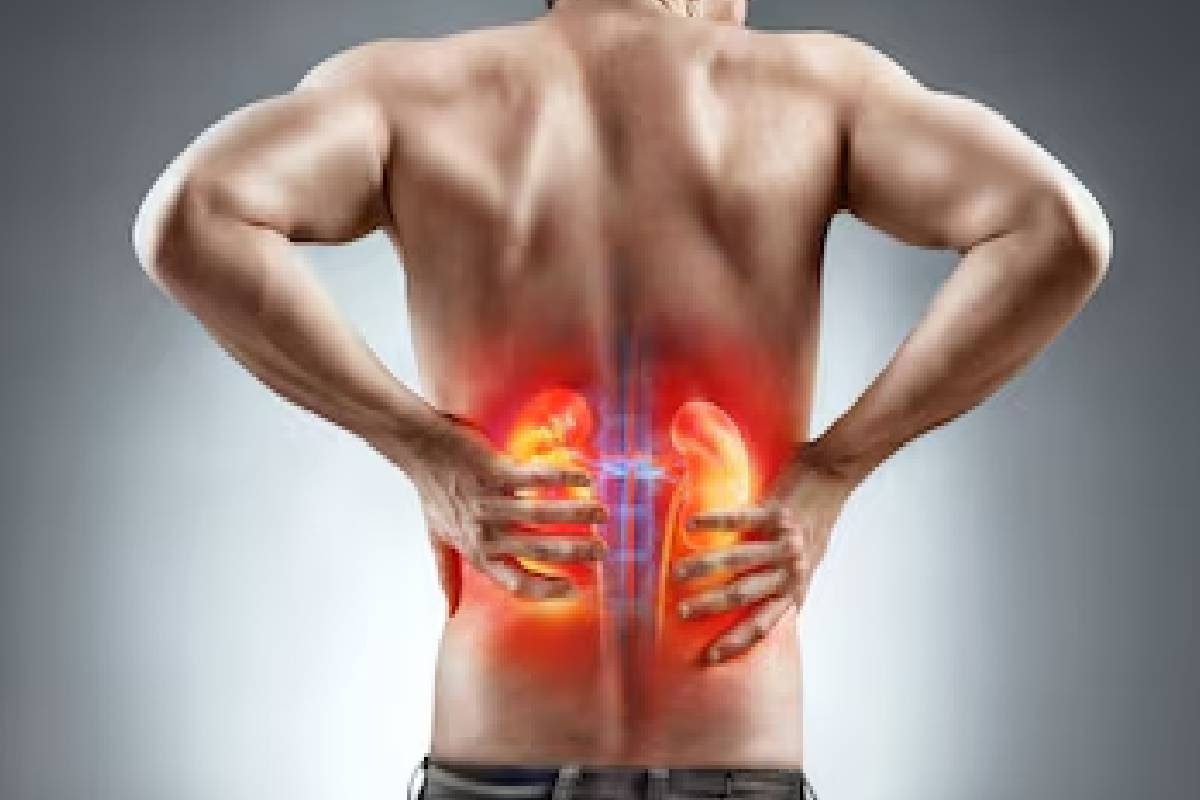 அதிக உப்பு உட்கொள்வதால் உடலுக்கு ஏற்படும் ஆபத்துகள் | Dangers Of Consuming Too Much Salt To The Body அதிக உப்பு உட்கொள்வதால் உடலுக்கு ஏற்படும் ஆபத்துகள் | Dangers Of Consuming Too Much Salt To The Body