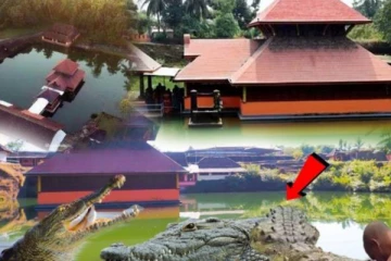 கேரள கோவிலுக்குள் புதைந்து கிடக்கும் மர்மம்! நூற்றாண்டுகளாக ரகசியத்தை காத்த முதலை