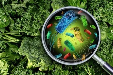 ஒட்டாவா முதியோர் இல்லத்தில்  இருவர் உயிரிழப்பு; வெளியான காரணம்