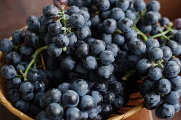 நாம் தூக்கி போடும் திராட்சை விதைகளில் இவ்வளவு நன்மைகளா!