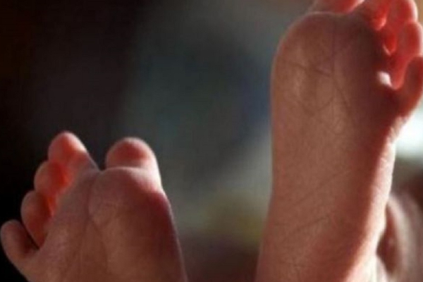 கடித்துக் குதறிய தெருநாய் - பறிபோன பச்சிளம் குழந்தையின் உயிர்! | Noida Baby Dies After Attack By Street Dog