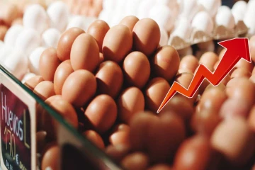 மீண்டும் உயரும் முட்டை விலை - புதிய விலை நாளை முதல் நடைமுறையில்