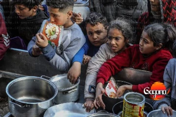 ගාසා තීරයේ උග්‍ර කුසගිනි අර්බුදයක් - ලෝක සෞඛ්‍ය සංවිධානය අනතුරු අඟවයි