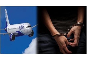 குடிபோதையில் இண்டிகோ விமானத்தில் ஊழியர்களிடம் தவறாக நடந்த 2 பயணிகள் கைது