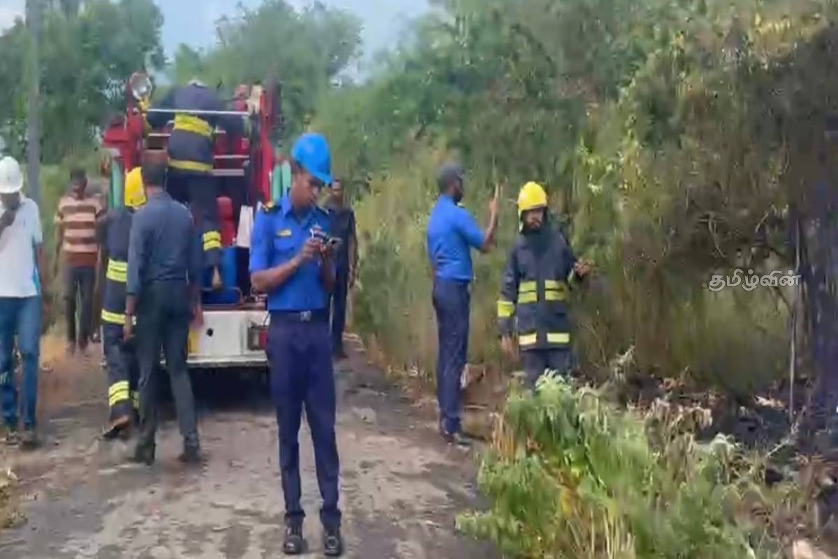 யாழில் களஞ்சிய சாலைக்கு அருகில் தீ பரவல் - விரைந்து செயற்பட்ட தீயணைப்பு படையினர் | Fire Spreads Near The Barn Road In Jaffna