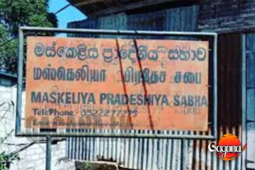 මස්කෙළියේ තවත් බල කෙළියක්