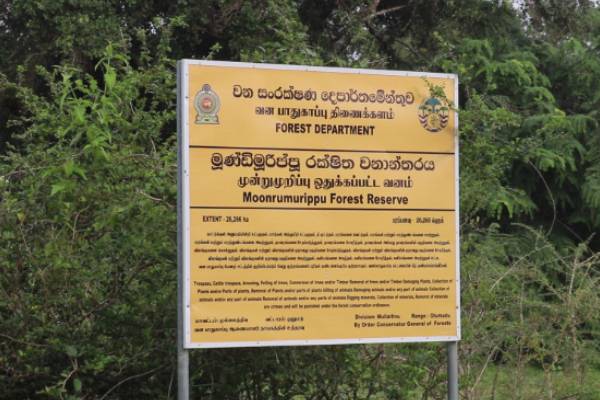 அநுரவின் நகர்வு வடமாகாணத்தை நோக்கி தான்: கந்தசாமி பிரபு தெரிவிப்பு | Lord Kandasamy S Statement