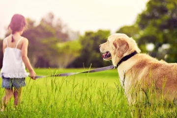 நாய்களுக்கு தடை விதிக்கும் கனேடிய அரசாங்கம்