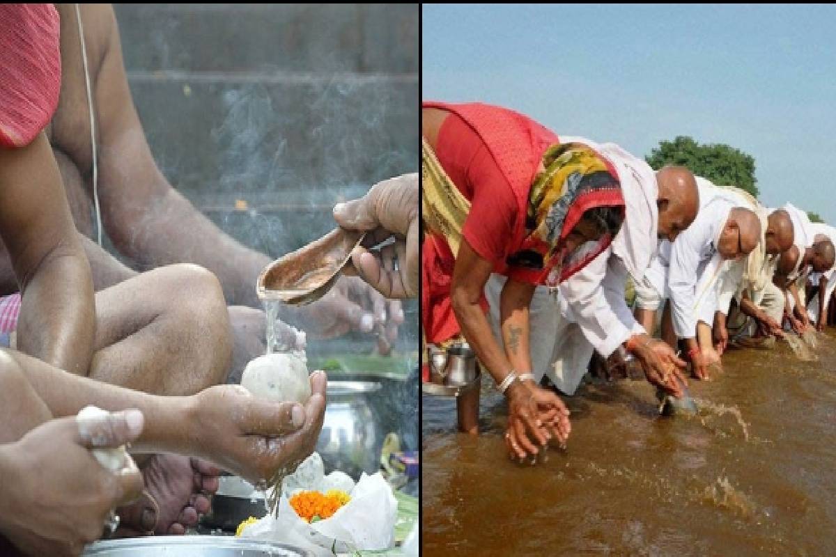 மகாளய பட்ச ரகசியம் - முன்னோர்களின் ஆசீர்வாதம் கிடைத்தால் வீட்டில் தோன்றும் 5 அறிகுறிகள்! | Mahalaya Paksha These Creatures Brings Blessings மகாளய பட்ச ரகசியம் - முன்னோர்களின் ஆசீர்வாதம் கிடைத்தால் வீட்டில் தோன்றும் 5 அறிகுறிகள்! | Mahalaya Paksha These Creatures Brings Blessings