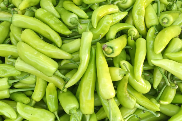 நாட்டில் மரக்கறி விலையில் பாரிய மாற்றம் ; உச்சம் தொட்ட கறிமிளகாய் விலை | Chilli Prices Record High Change Vegetable Prices