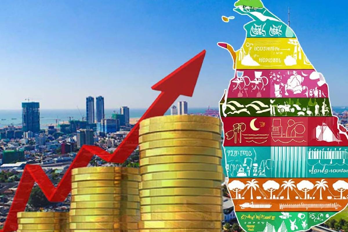 மின் உற்பத்தி 50 சதவீதத்தால் வீழ்ச்சியடையும் அபாயம்! வெளியாகியுள்ள எச்சரிக்கை | Crisis In Electricity And Economic