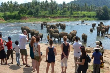 இலங்கையில் மீண்டும் குவியும் வெளிநாட்டு சுற்றுலாப் பயணிகள்!