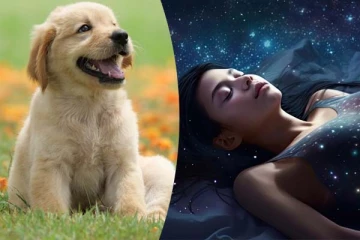 கனவில் அடிக்கடி நாய் வந்தால் அசுபமா? அதிர்ஷ்டமா? உண்மை காரணம் இதோ