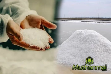 நாட்டில் மீண்டும் உப்பு தட்டுப்பாடு