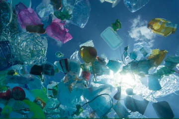 கடலில் அதிகளவிலான பிளாஸ்திக் பொருட்களை கொண்ட நாடுகளின் வரிசையில் இலங்கை!