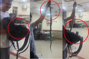 தன்னை கடித்த பாம்பை பையில் அடைத்து சென்ற நபர் - வைரல் காணொளி