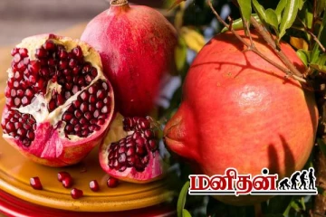 றீச்ஷா பண்ணையில் அமோக விளைச்சல் தரும் மாதுளம் பழம்