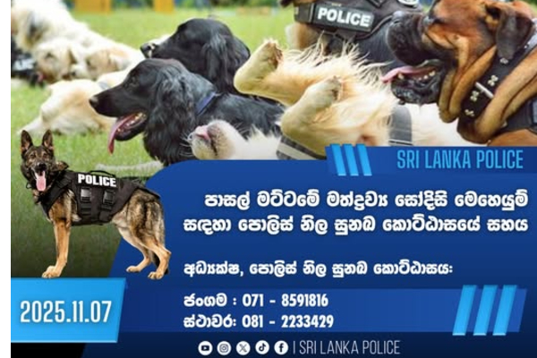 பாடசாலைகளில் களமிறக்கப்படவுள்ள காவல்துறை! வெளியாகிய விசேட அறிக்கை | Police To Be Deployed In Schools பாடசாலைகளில் களமிறக்கப்படவுள்ள காவல்துறை! வெளியாகிய விசேட அறிக்கை | Police To Be Deployed In Schools