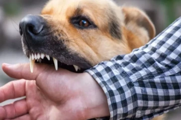 நாட்டில் விசர்நாய்க்கடி அச்சுறுத்தல்; 14 மரணங்கள்