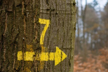 அதிர்ஷ்ட எண் 7இல் பிறந்தவரா நீங்கள்...