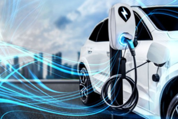 மின்சார வாகனங்களை விடுவிக்கக் கோரி மனு தாக்கல் | Petition For Release Of 1000 Byd Electric Vehicles