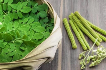 அமெரிக்காவில் விவசாயம் செய்யப்படும் முருங்கை உற்பத்தி!