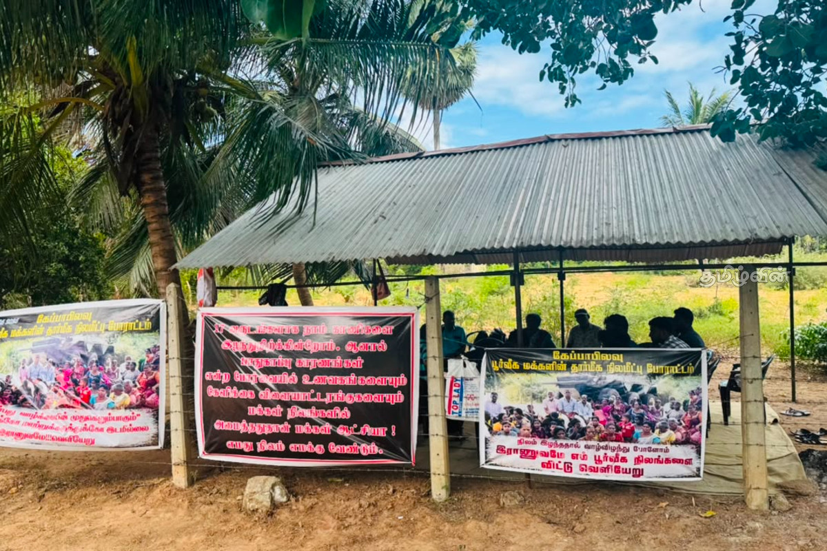 முல்லைத்தீவில் தமிழர் பூர்வீக காணிகளை விடுவிக்கக் கோரி மாபெரும் கண்டன போராட்டம் | Protest Tamil Ancestral Lands In Mullaitivu முல்லைத்தீவில் தமிழர் பூர்வீக காணிகளை விடுவிக்கக் கோரி மாபெரும் கண்டன போராட்டம் | Protest Tamil Ancestral Lands In Mullaitivu