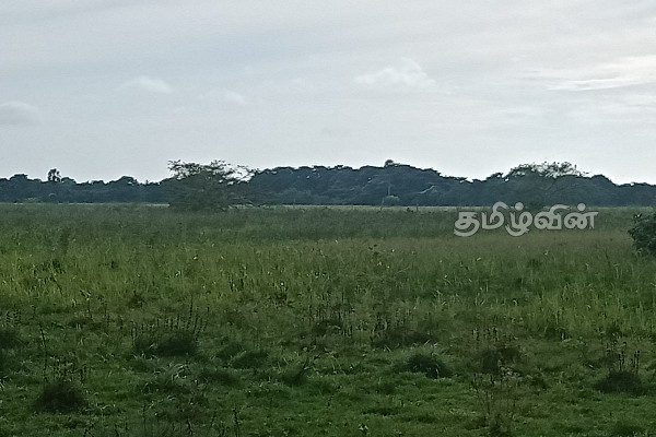 முல்லைத்தீவில் இப்படியொரு இடமா! மறக்கப்பட்ட வௌவால்வெளி | Mullaitivu Tourist Ariya Sri Lanka Tourism