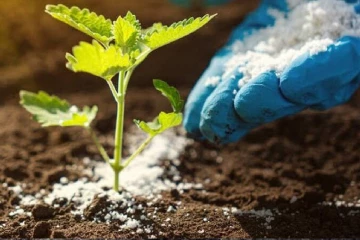 පොහොර ගන්න බලන් ඉන්න හැමෝටම සුබ ආරංචියක්