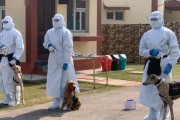 தொற்றாளர்களை 94 சதவீதம் துல்லியமாக கண்டறியும் மோப்ப நாய்கள்!